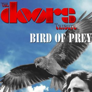 Bird of Prey @ Hi Folks